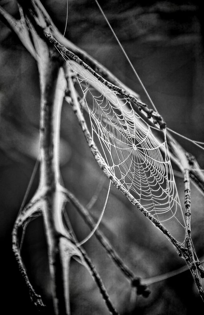 Quantum Entanglement Spooky Action